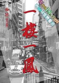 一楼一凤讲的什么
